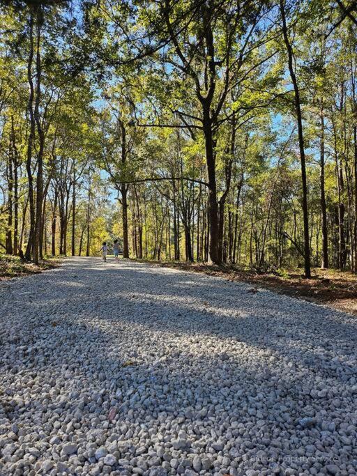 3/2 Uf Wooded Paradise Retreat Gainesville Extérieur photo
